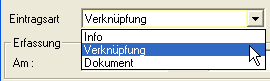 artikelinfoeintragsarten.png